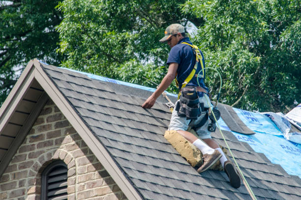 Quick and Trustworthy Emergency Roof Repair Services in Metairie, LA